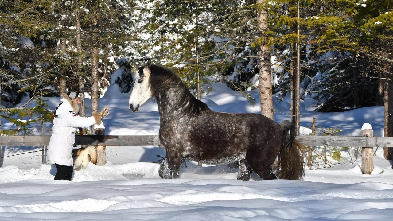 Le Bivouac - Les Chalets Spa Canada ลามัลแบ ภายนอก รูปภาพ