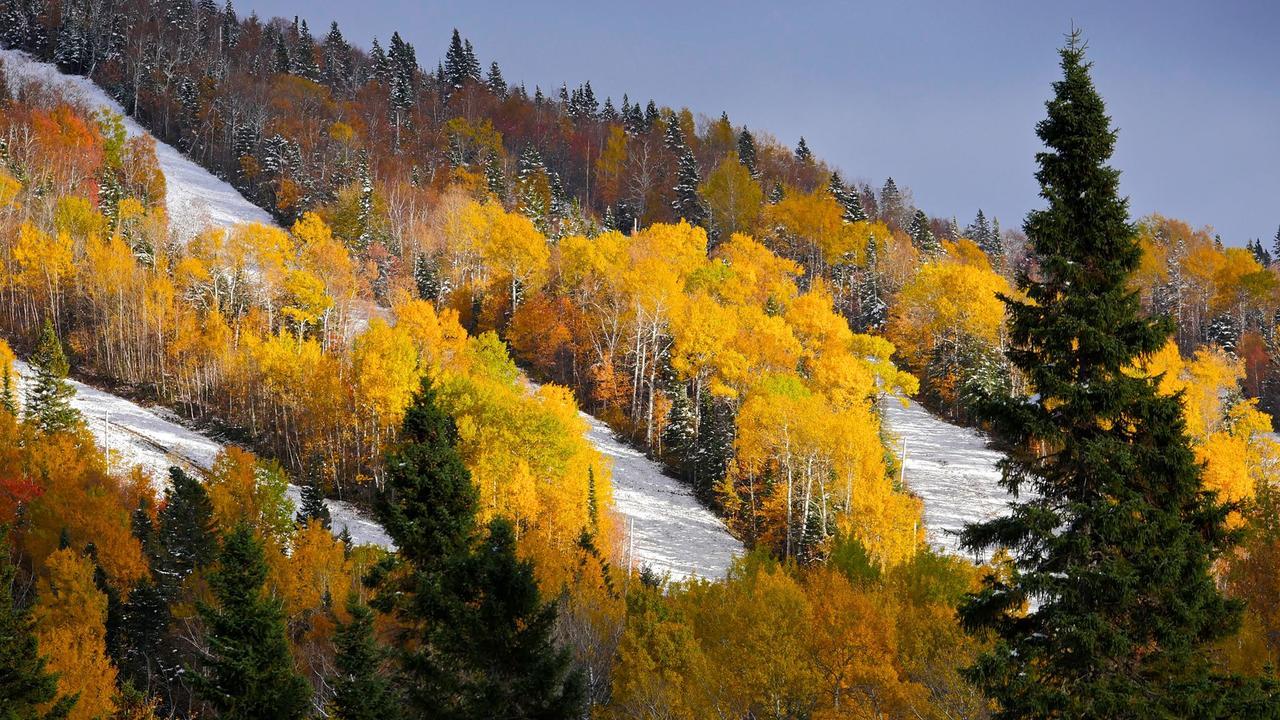 Le Bivouac - Les Chalets Spa Canada ลามัลแบ ภายนอก รูปภาพ