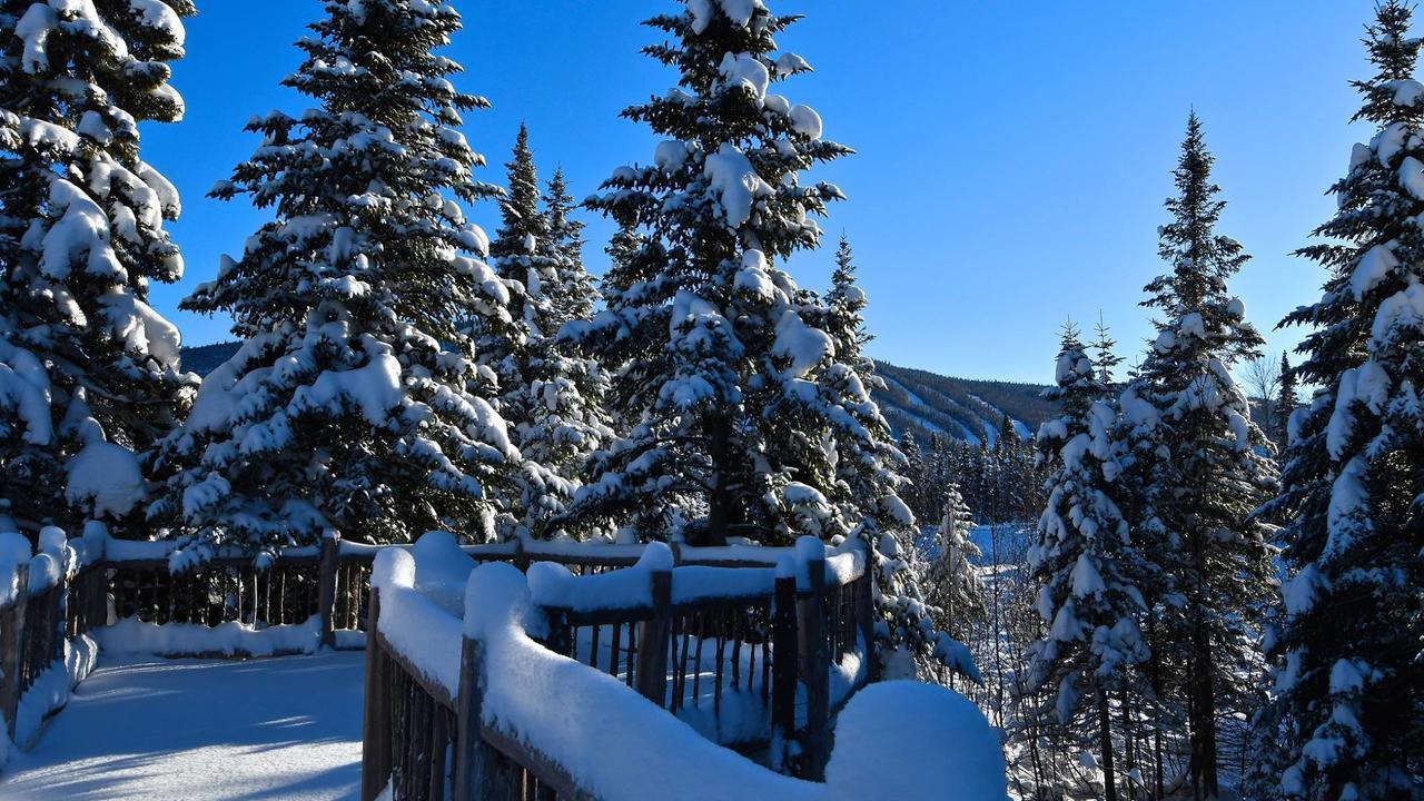 Le Bivouac - Les Chalets Spa Canada ลามัลแบ ภายนอก รูปภาพ