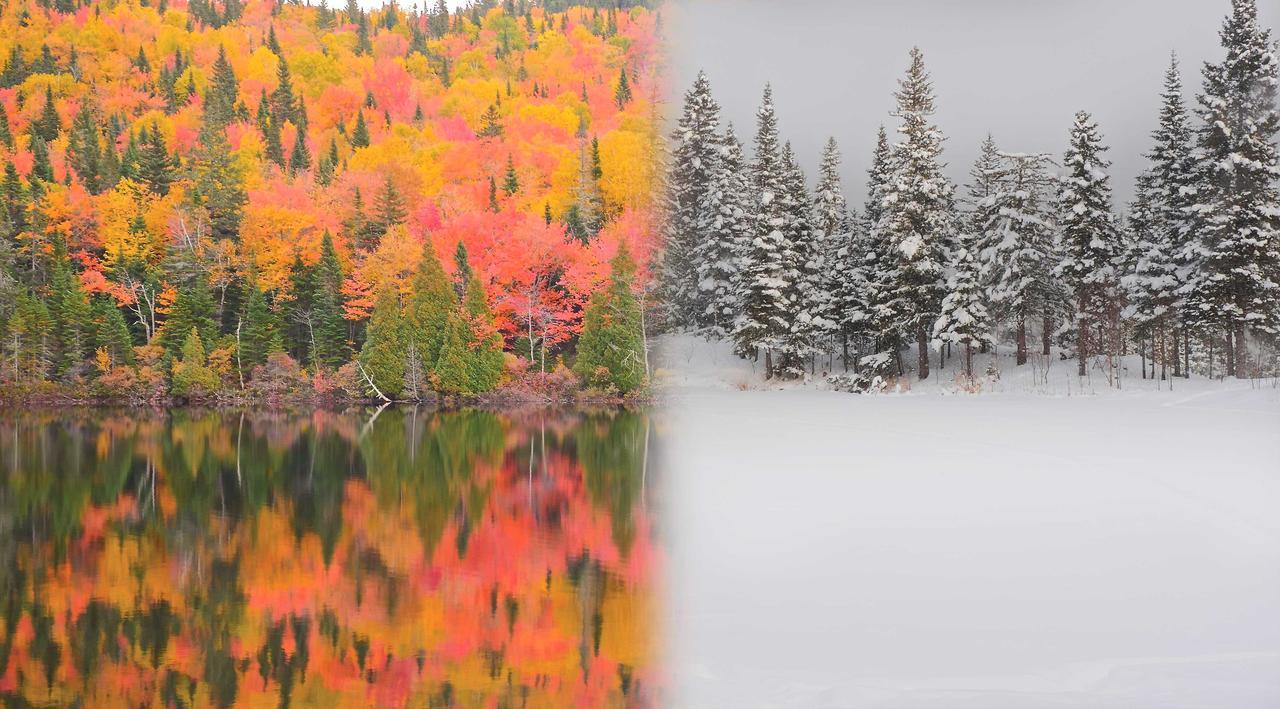 Le Bivouac - Les Chalets Spa Canada ลามัลแบ ภายนอก รูปภาพ