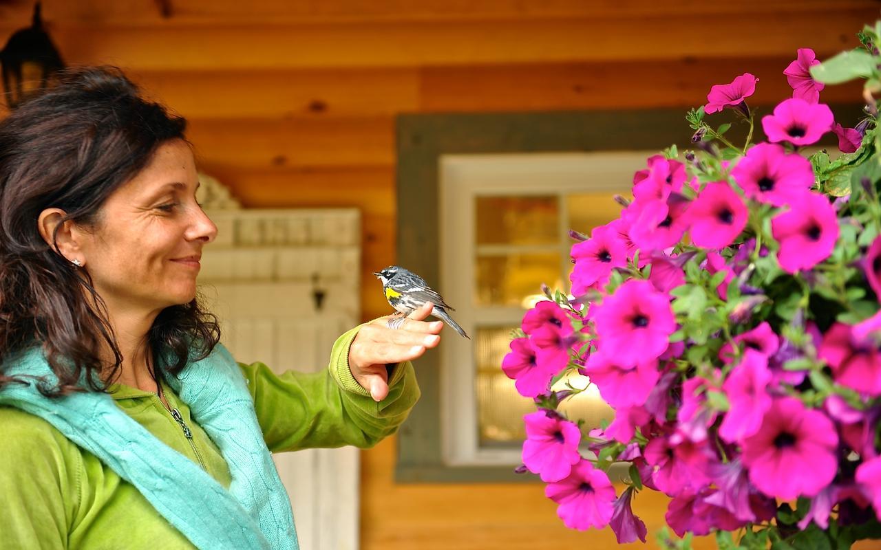 Le Bivouac - Les Chalets Spa Canada ลามัลแบ ภายนอก รูปภาพ